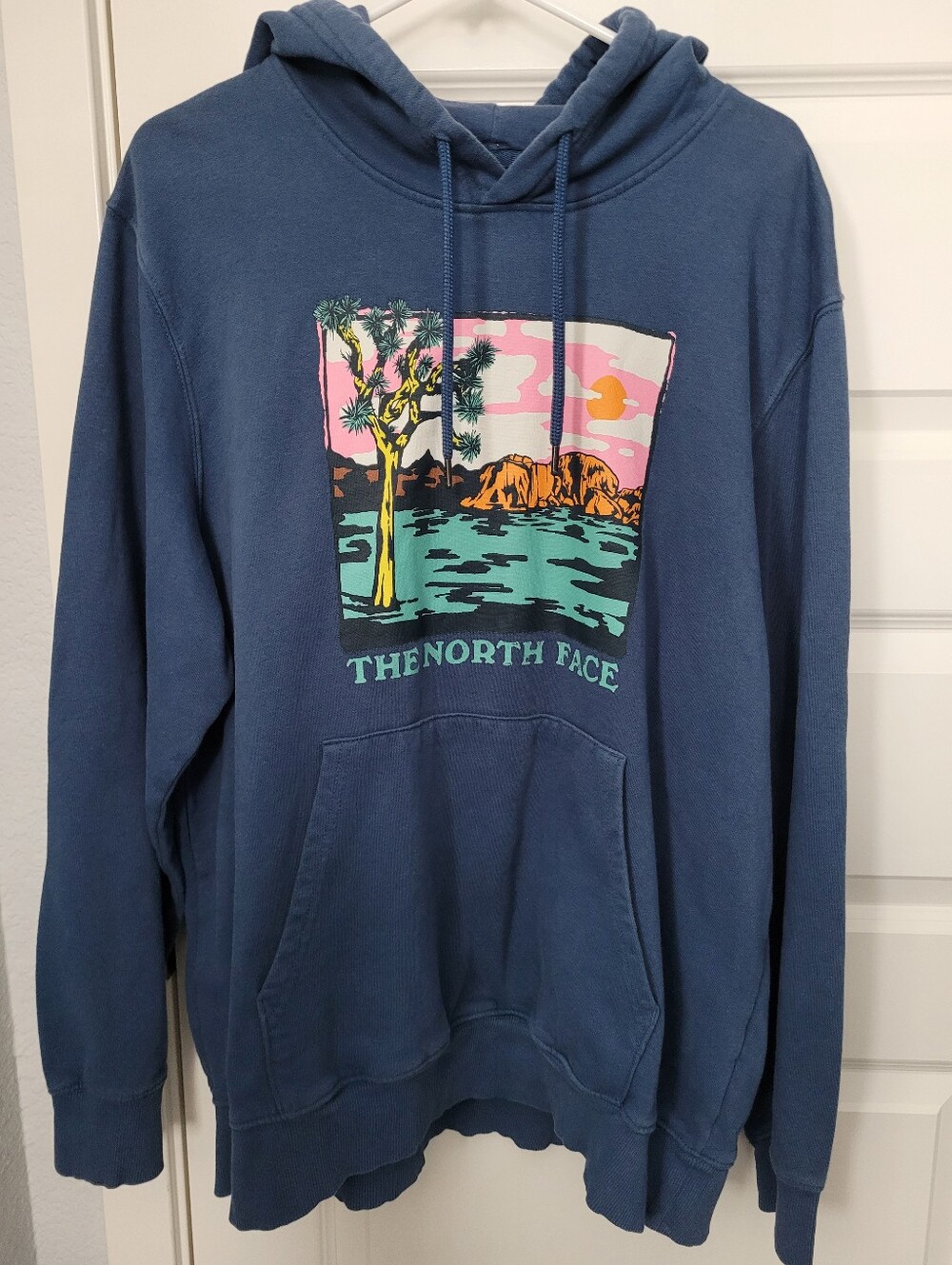The North Face Joshua Tree Graphic Hoodie Men’s XL Blue Pullover Sweatshirt